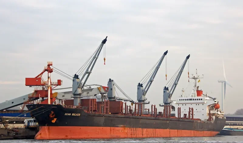 RISING FALCON Bulk Carrier IMO 9105396 photo 10