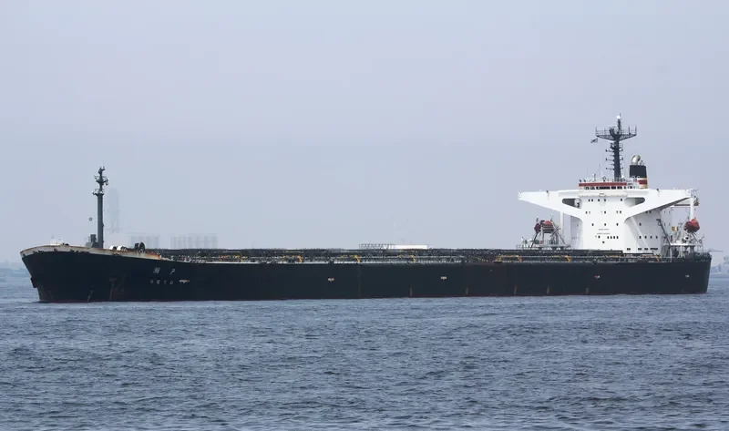 SETO Bulk Carrier IMO 9105451 photo 2
