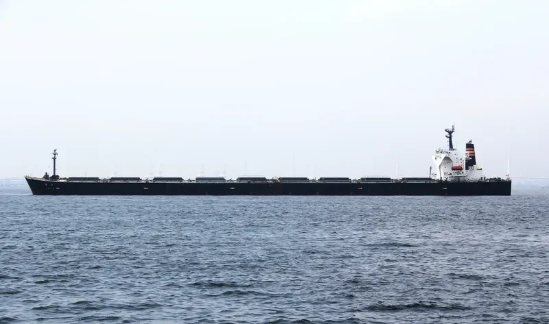 SETO Bulk Carrier IMO 9105451 photo 3