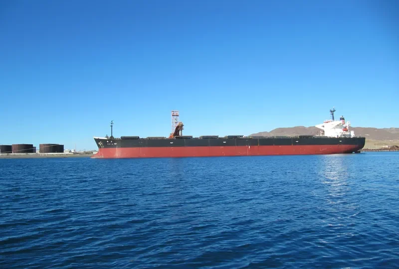 SETO Bulk Carrier IMO 9105451 photo 5