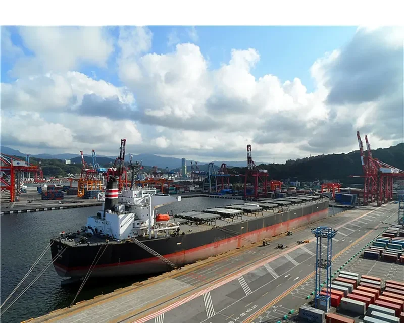 SETO Bulk Carrier IMO 9105451 photo 6