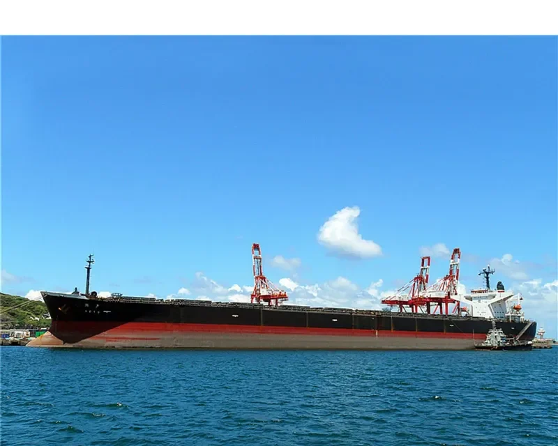 SETO Bulk Carrier IMO 9105451 photo 7