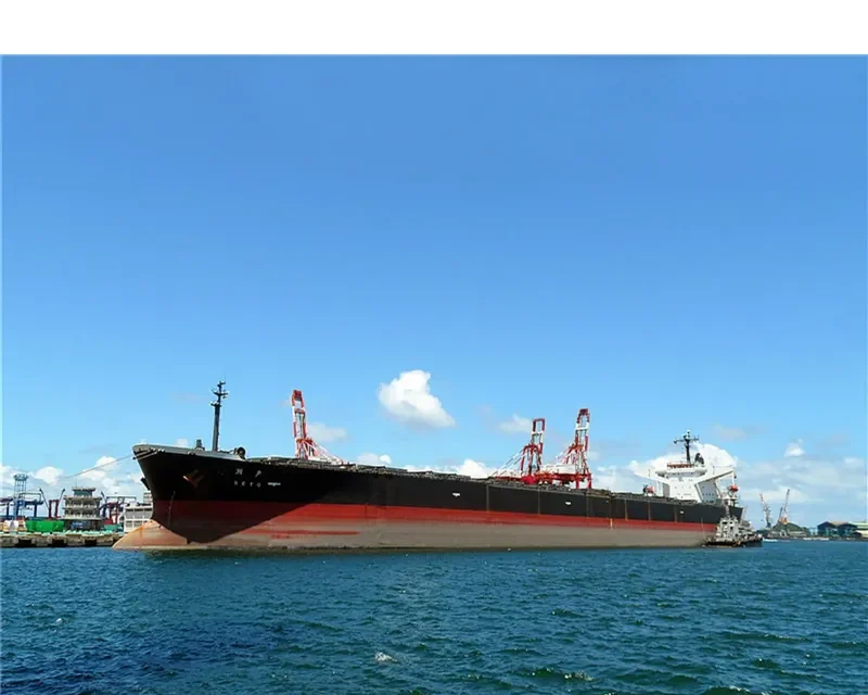SETO Bulk Carrier IMO 9105451 photo 8