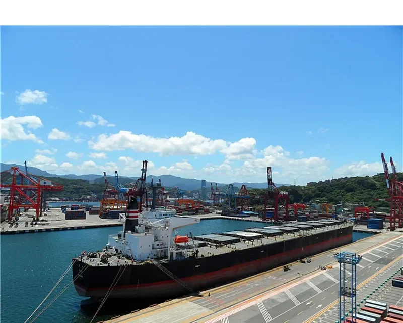 SETO Bulk Carrier IMO 9105451 photo 10