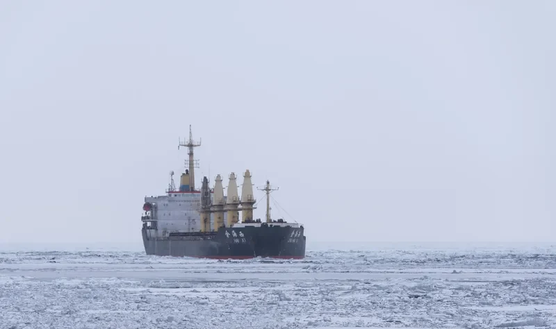 JIN HAI XI Bulk Carrier IMO 9105463