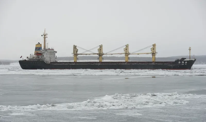 JIN HAI XI Bulk Carrier IMO 9105463 photo 2