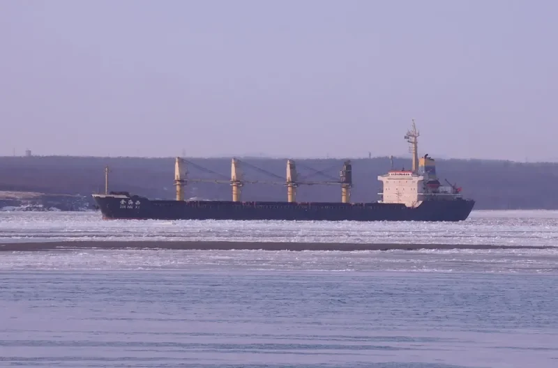 JIN HAI XI Bulk Carrier IMO 9105463 photo 3