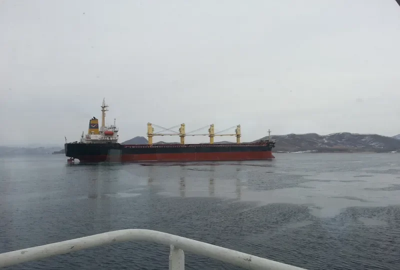 JIN HAI XI Bulk Carrier IMO 9105463 photo 4