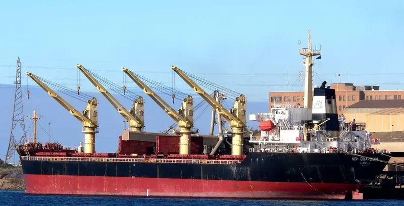 JIN HAI XI Bulk Carrier IMO 9105463 photo 6