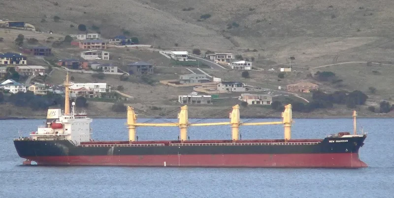 JIN HAI XI Bulk Carrier IMO 9105463 photo 7