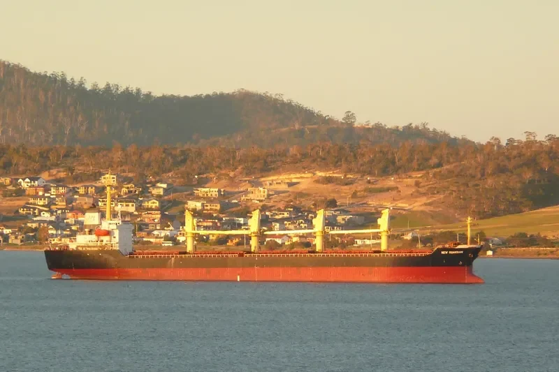 JIN HAI XI Bulk Carrier IMO 9105463 photo 8