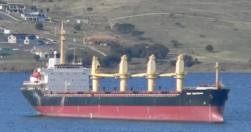 JIN HAI XI Bulk Carrier IMO 9105463 photo 9