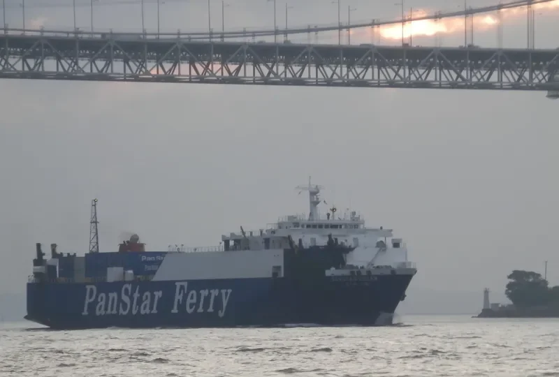 SANSTAR DREAM Ro-Ro IMO 9105487 photo 6