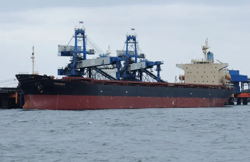EVERMERIT Bulk Carrier IMO 9105578