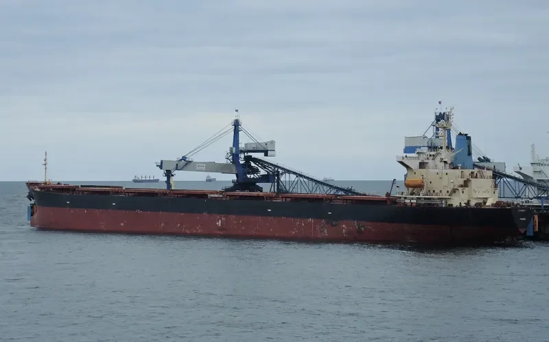 EVERMERIT Bulk Carrier IMO 9105578 photo 2