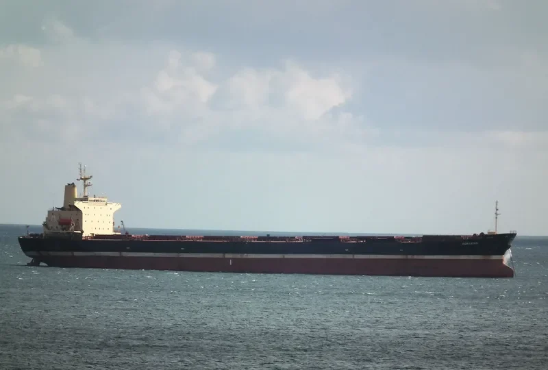 EVERMERIT Bulk Carrier IMO 9105578 photo 3