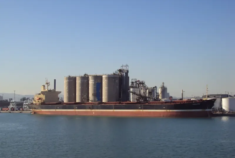 EVERMERIT Bulk Carrier IMO 9105578 photo 4