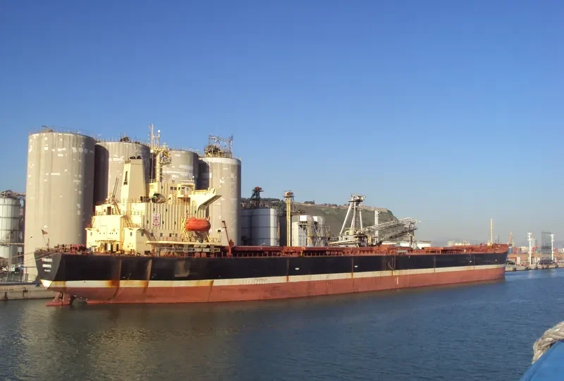 EVERMERIT Bulk Carrier IMO 9105578 photo 5