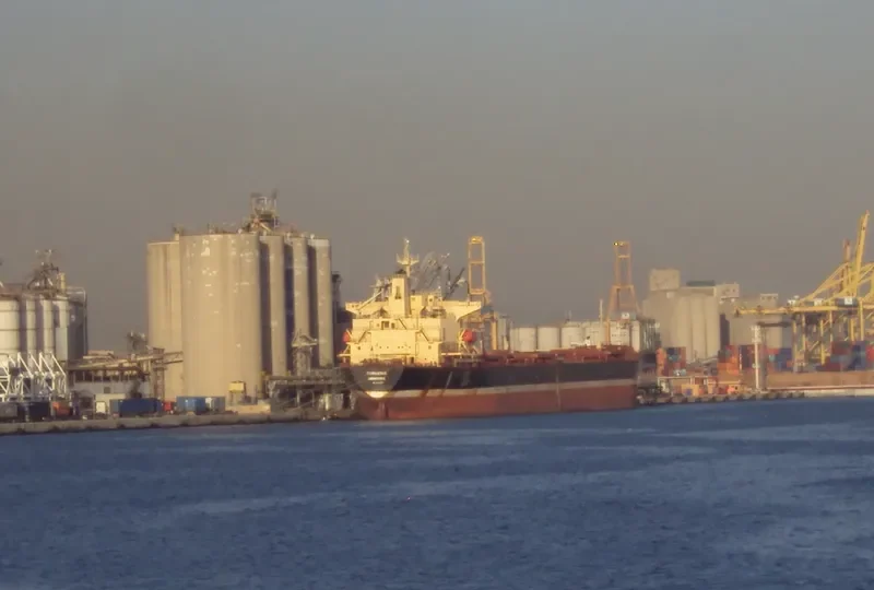 EVERMERIT Bulk Carrier IMO 9105578 photo 7