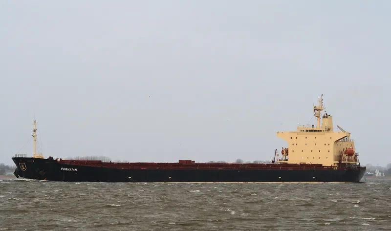 EVERMERIT Bulk Carrier IMO 9105578 photo 8