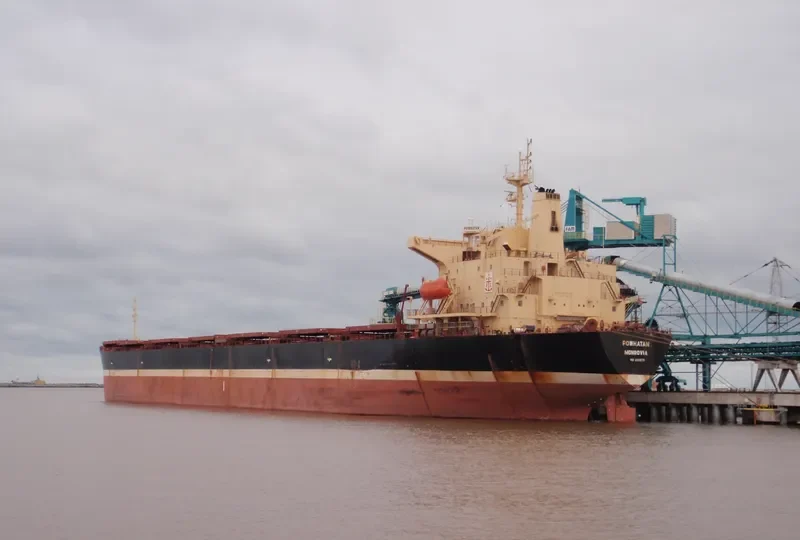 EVERMERIT Bulk Carrier IMO 9105578 photo 10