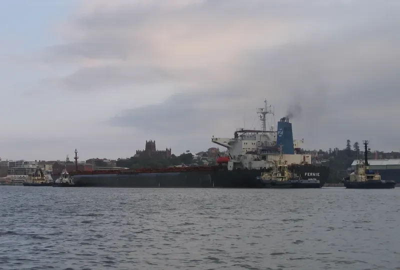 FERNIE Bulk Carrier IMO 9105633