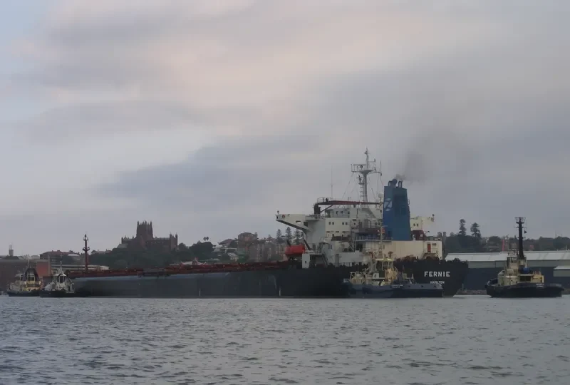 FERNIE Bulk Carrier IMO 9105633 photo 3