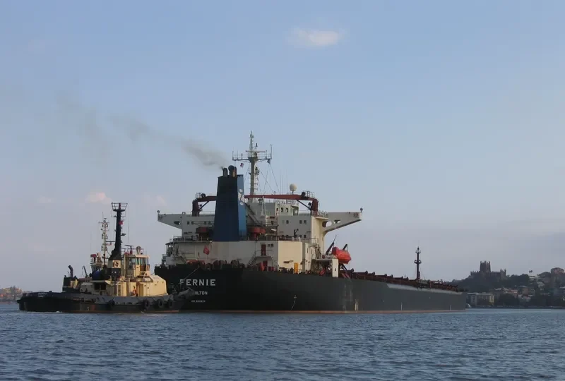 FERNIE Bulk Carrier IMO 9105633 photo 4