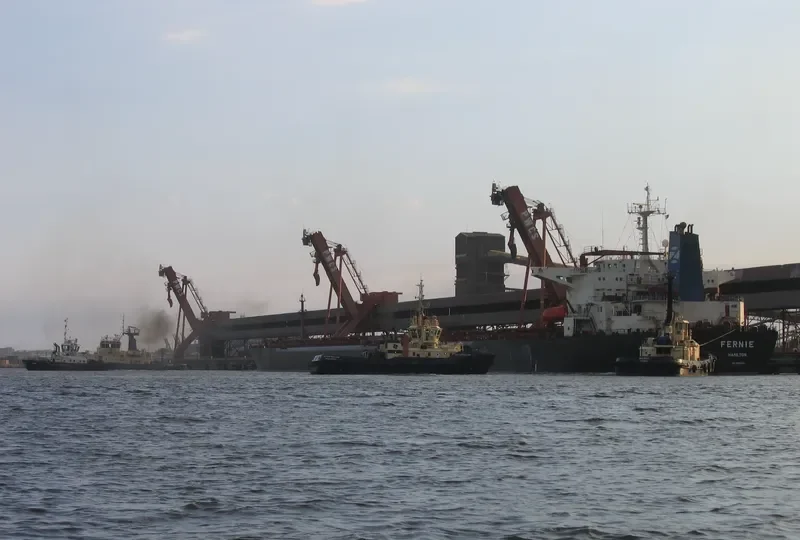 FERNIE Bulk Carrier IMO 9105633 photo 5