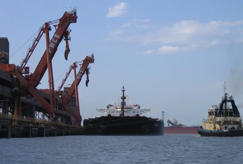 FERNIE Bulk Carrier IMO 9105633 photo 6