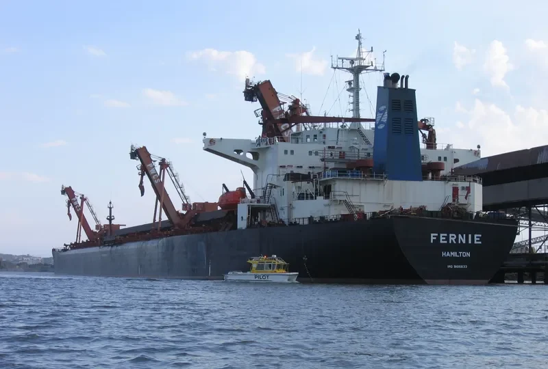 FERNIE Bulk Carrier IMO 9105633 photo 7