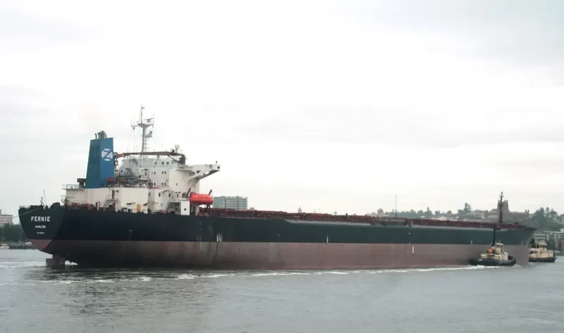 FERNIE Bulk Carrier IMO 9105633 photo 8