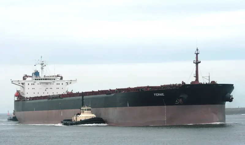 FERNIE Bulk Carrier IMO 9105633 photo 9