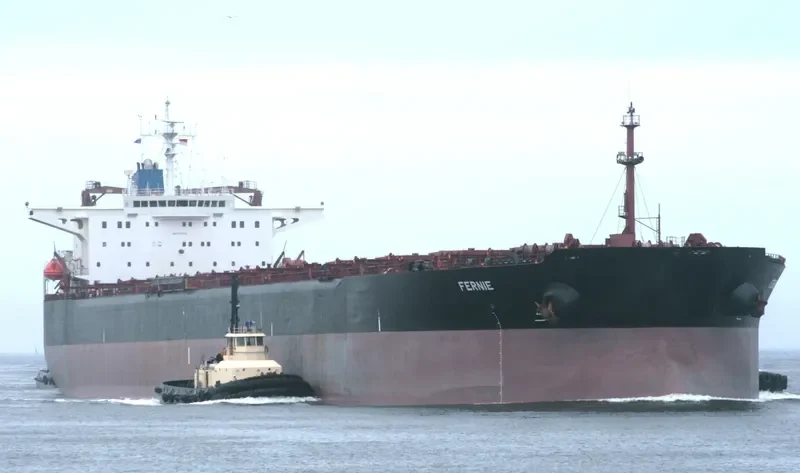 FERNIE Bulk Carrier IMO 9105633 photo 10