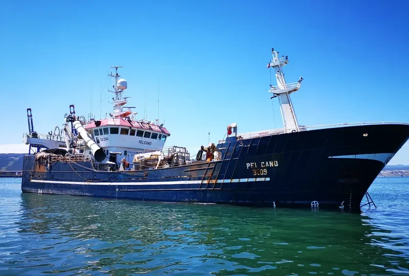 PELICANO General Cargo IMO 9105671 photo 3