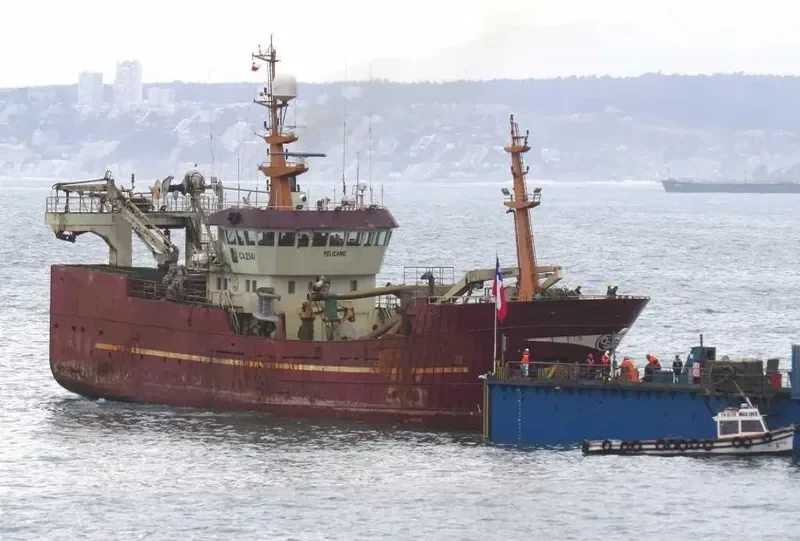 PELICANO General Cargo IMO 9105671 photo 6