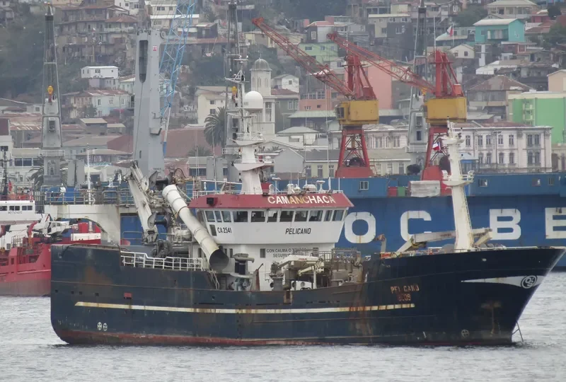 PELICANO General Cargo IMO 9105671 photo 7