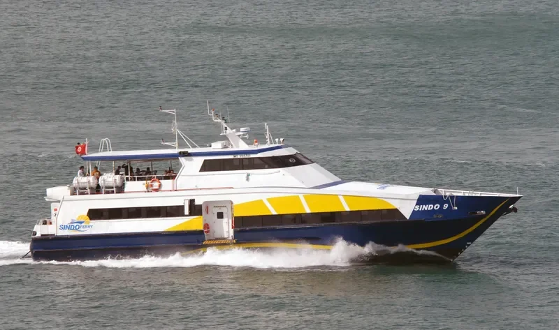 SINDO 9 Ro-Ro IMO 9105700