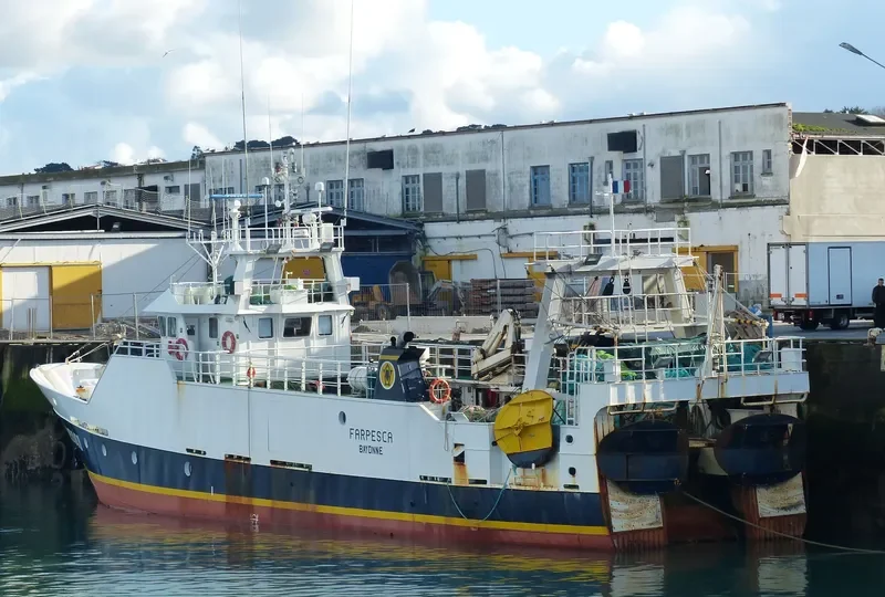 FARPESCA General Cargo IMO 9105712 photo 2