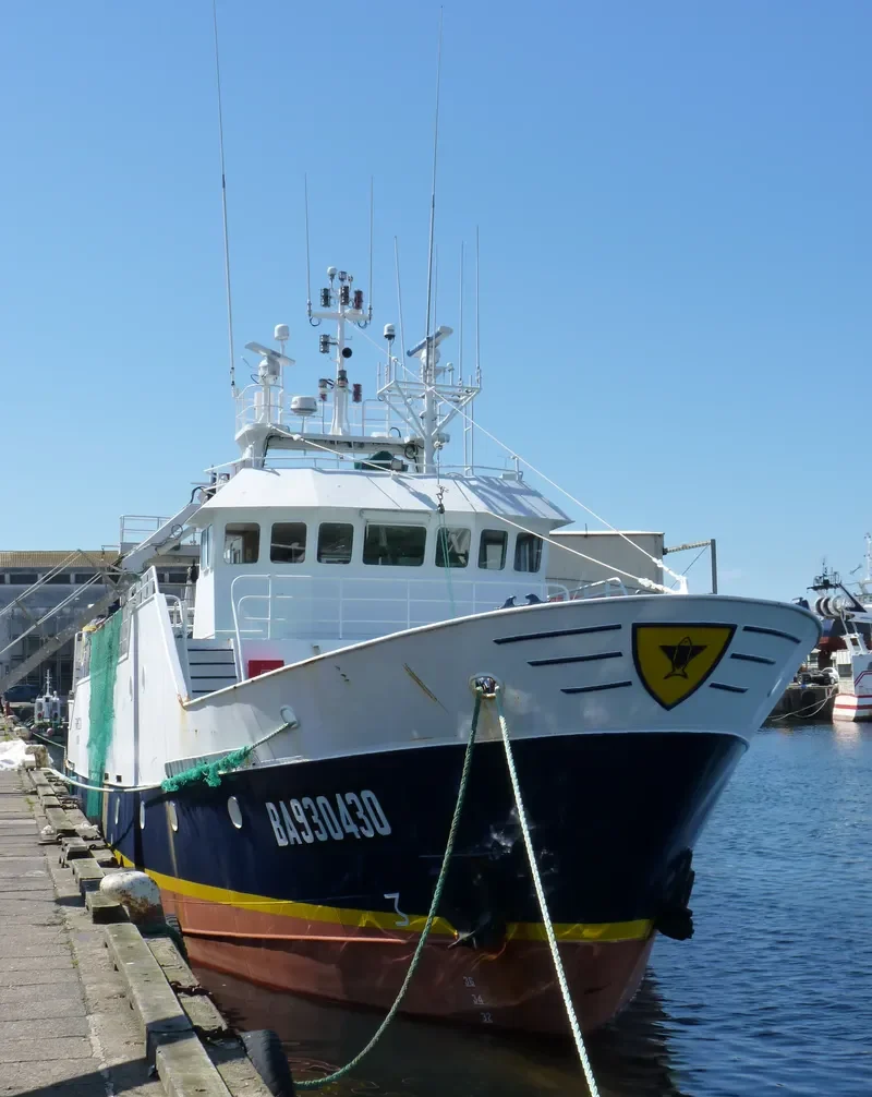 FARPESCA General Cargo IMO 9105712 photo 6