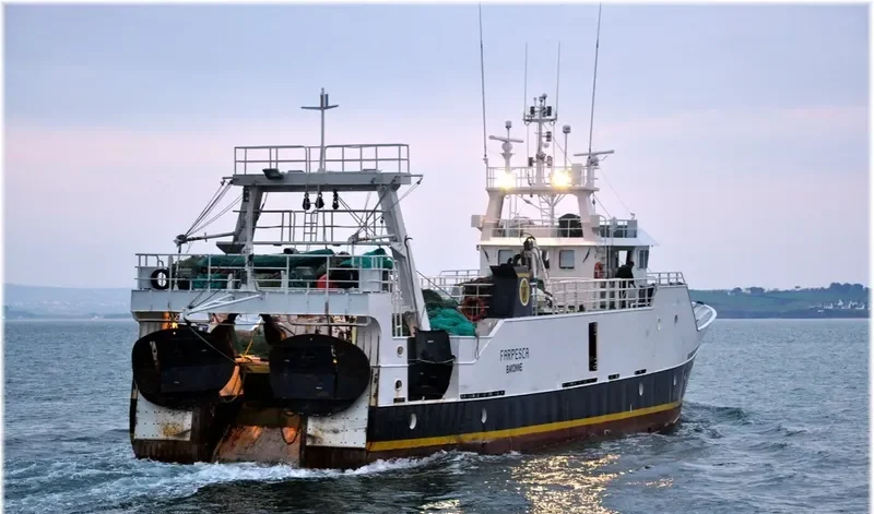 FARPESCA General Cargo IMO 9105712 photo 7