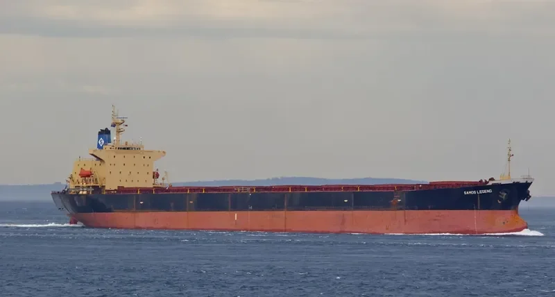 SAMOS LEGEND Bulk Carrier IMO 9105891 photo 3