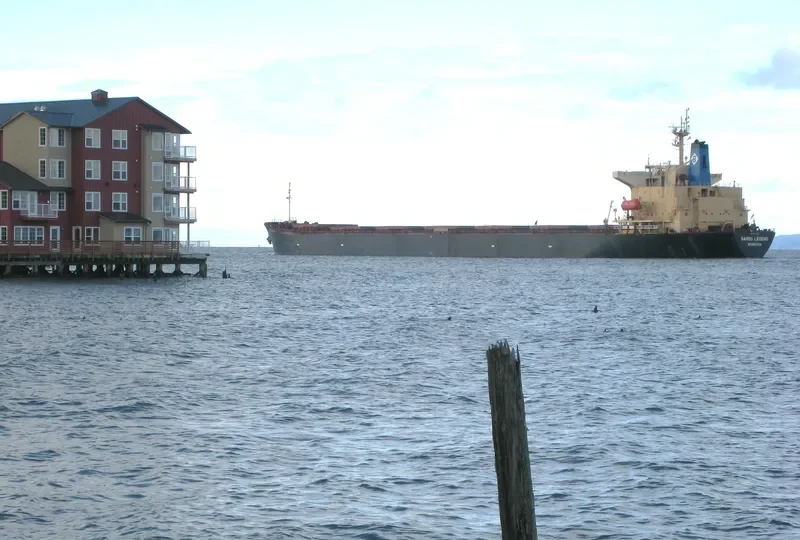 SAMOS LEGEND Bulk Carrier IMO 9105891 photo 4
