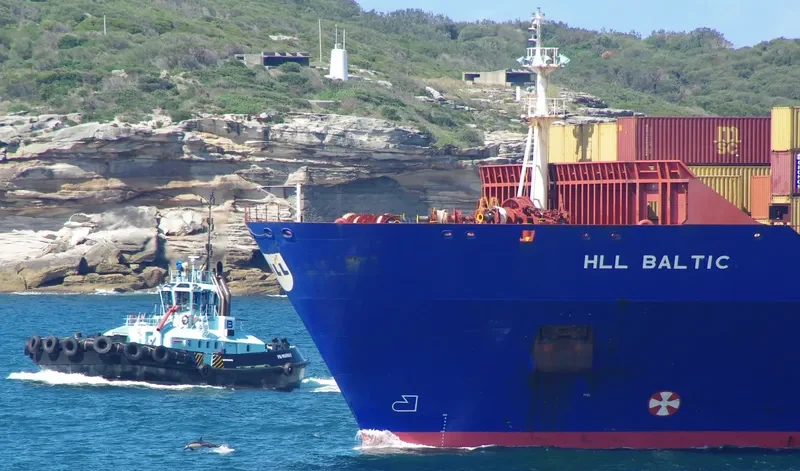 BALTIC Container Ship IMO 9105918 photo 3