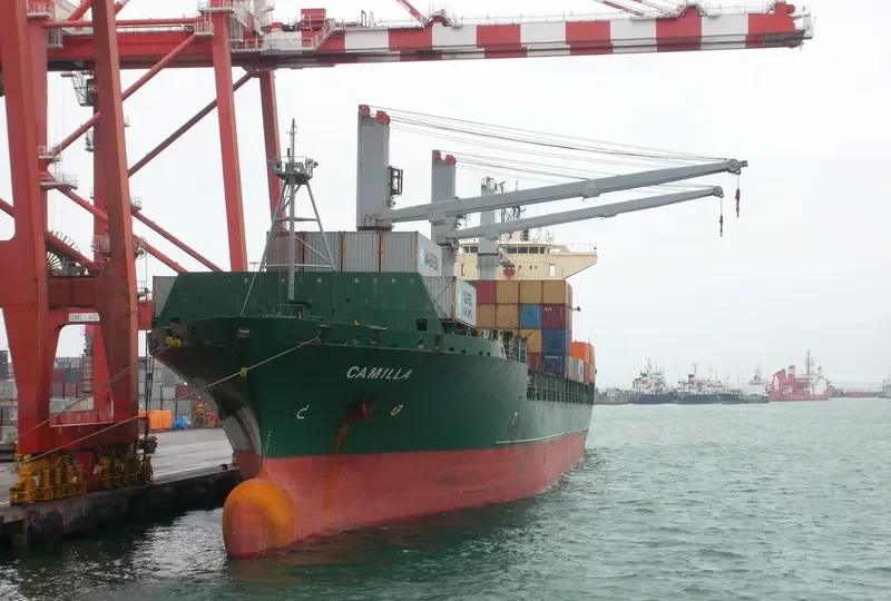CAMILLA Container Ship IMO 9105982 photo 2