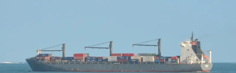 CAMILLA Container Ship IMO 9105982 photo 3