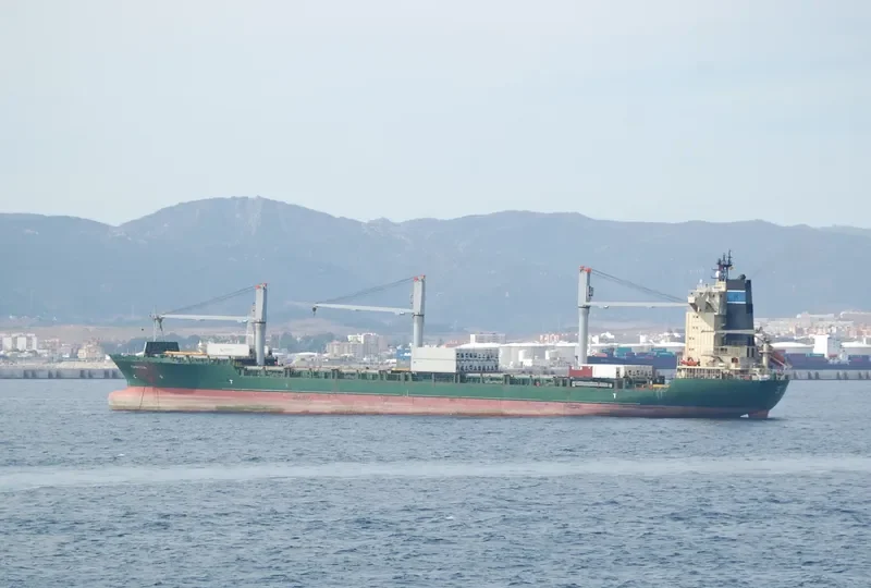 CAMILLA Container Ship IMO 9105982 photo 6