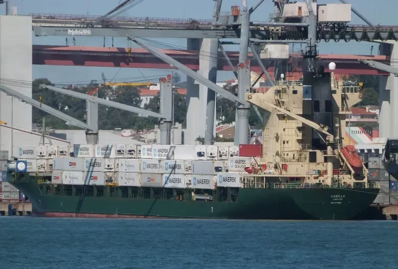 CAMILLA Container Ship IMO 9105982 photo 7