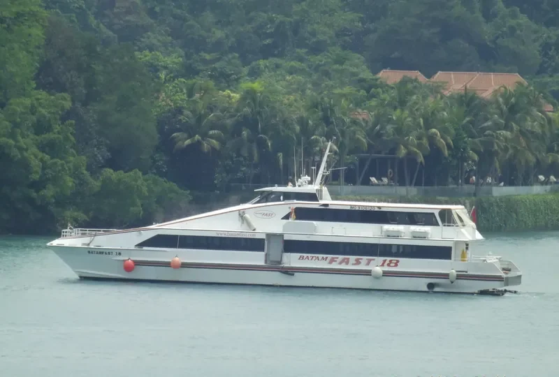 BATAMFAST 18 Passenger Ship IMO 9106120 photo 3