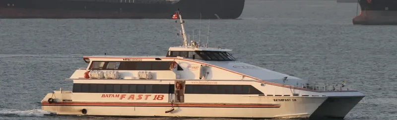 BATAMFAST 18 Passenger Ship IMO 9106120 photo 8
